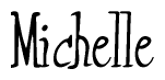 The image is of the word Michelle stylized in a cursive script.