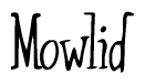 The image contains the word 'Mowlid' written in a cursive, stylized font.