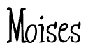 The image contains the word 'Moises' written in a cursive, stylized font.