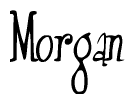 The image contains the word 'Morgan' written in a cursive, stylized font.