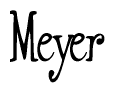 The image is of the word Meyer stylized in a cursive script.