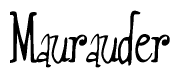 The image is a stylized text or script that reads 'Maurauder' in a cursive or calligraphic font.