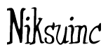 The image is of the word Niksuinc stylized in a cursive script.