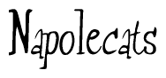 The image is a stylized text or script that reads 'Napolecats' in a cursive or calligraphic font.