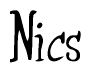 The image is of the word Nics stylized in a cursive script.