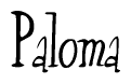 The image is of the word Paloma stylized in a cursive script.