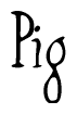 The image is of the word Pig stylized in a cursive script.
