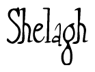 The image is of the word Shelagh stylized in a cursive script.