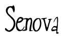 The image contains the word 'Senova' written in a cursive, stylized font.