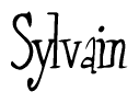 The image is of the word Sylvain stylized in a cursive script.