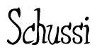 The image is of the word Schussi stylized in a cursive script.