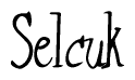 The image is of the word Selcuk stylized in a cursive script.