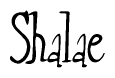 The image is of the word Shalae stylized in a cursive script.