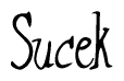 The image contains the word 'Sucek' written in a cursive, stylized font.