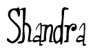 The image is of the word Shandra stylized in a cursive script.