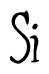 The image is of the word Si stylized in a cursive script.
