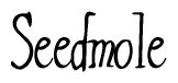The image is of the word Seedmole stylized in a cursive script.