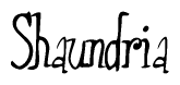 The image is a stylized text or script that reads 'Shaundria' in a cursive or calligraphic font.
