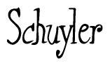 The image contains the word 'Schuyler' written in a cursive, stylized font.