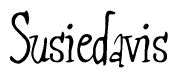   The image is of the word Susiedavis stylized in a cursive script. 