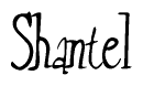 Cursive Script 'Shantel' Text