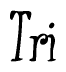 The image is a stylized text or script that reads 'Tri' in a cursive or calligraphic font.