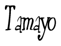 The image contains the word 'Tamayo' written in a cursive, stylized font.