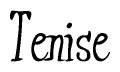 The image is a stylized text or script that reads 'Tenise' in a cursive or calligraphic font.