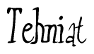 The image contains the word 'Tehniat' written in a cursive, stylized font.