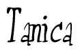 Tanica Calligraphy Text 