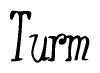The image contains the word 'Turm' written in a cursive, stylized font.