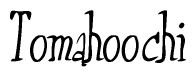 The image contains the word 'Tomahoochi' written in a cursive, stylized font.