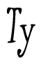 The image is of the word Ty stylized in a cursive script.
