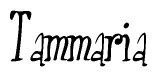 The image is of the word Tammaria stylized in a cursive script.