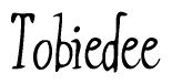 The image is of the word Tobiedee stylized in a cursive script.