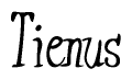 The image is of the word Tienus stylized in a cursive script.