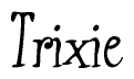 The image is a stylized text or script that reads 'Trixie' in a cursive or calligraphic font.