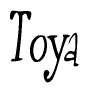 The image contains the word 'Toya' written in a cursive, stylized font.
