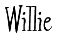 The image is of the word Willie stylized in a cursive script.