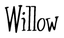 The image is of the word Willow stylized in a cursive script.