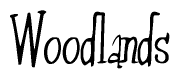 The image contains the word 'Woodlands' written in a cursive, stylized font.