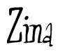 The image is of the word Zina stylized in a cursive script.