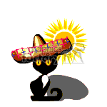 Cat wearing a sombrero.