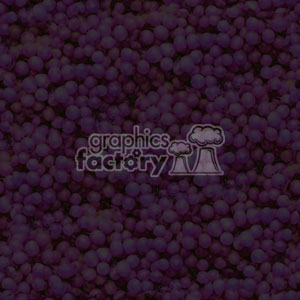092106-grapes light-001