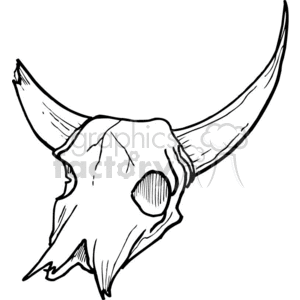 A drawing of a skull