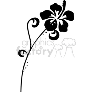 black and white hibiscus flower design