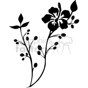 black drawing of a hibiscus flower on a branch