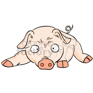 Baby pig laying down