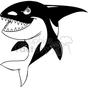 Orca the killer whale