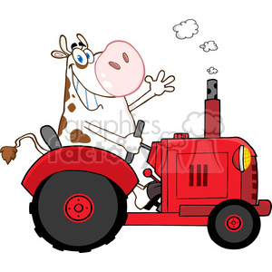 This clipart image features a comical depiction of a cow driving a red farm tractor. The cow has a humorous expression, with one hand on the steering wheel and the other waving in the air. It has large blue eyes and appears to be wearing glasses, has spots on its body, and a tuft of hair at the end of its tail. The tractor is stylized with large black tires, red bodywork, and a simple design that suggests it is intended for comic or illustrative purposes rather than realism. The cow seems jubilant and carefree, possibly chewing something as indicated by the presence of a small chew cloud near its mouth.